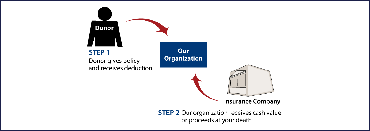 Life Insurance Policy Thumbnail